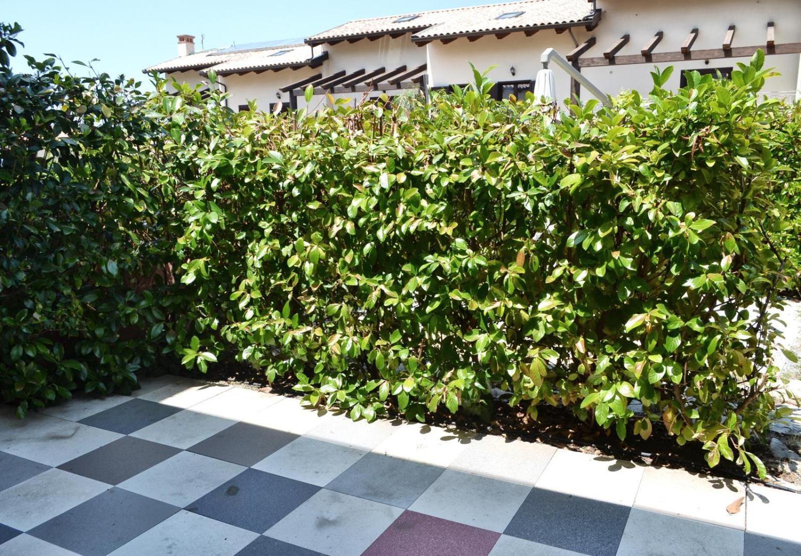 Le Case Del Carmine Con Giardino E Parcheggio A Tropea Buitenkant foto